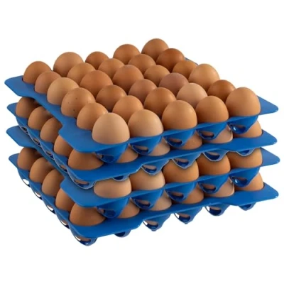 Afbeelding van APS 10 lagen in de eierdoos, opslag voor eieren, elke laag heeft 30 28,5 x cm, 6,5 cm hoog