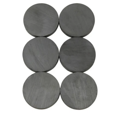 Afbeelding van Benson Magneet Rond Ø 25 mm 6 Stuks