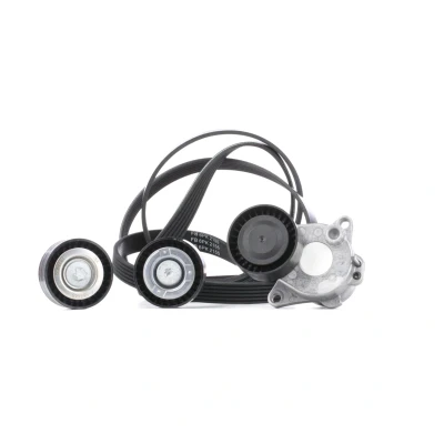 Afbeelding van Poly V riem set INA 529 0321 10