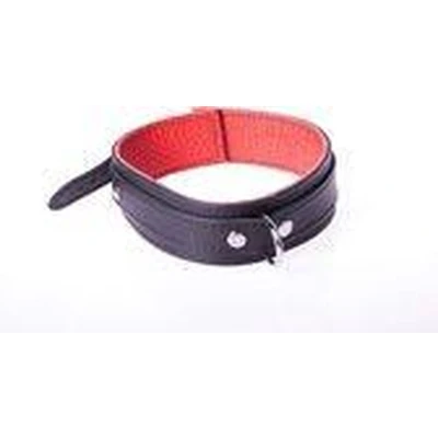 Afbeelding van Basic Collar van Leer met Metalen D Ring en Gesp Zwart/rood