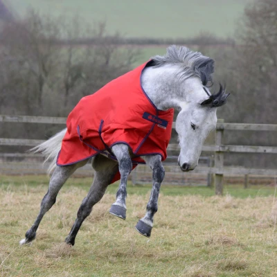 Image de Bucas Freedom Turnout 300G Crimson Red