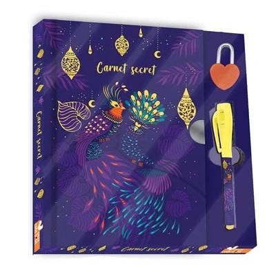 Image de Mon carnet secret coffret avec stylo magique