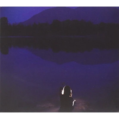 Afbeelding van Tiny Vipers Hands Across The Void (CD)