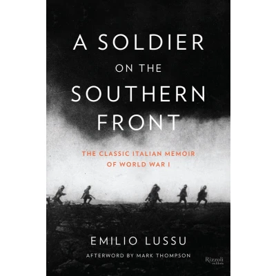 Afbeelding van Soldier On The Southern Front