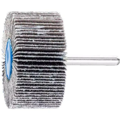 Afbeelding van PFERD 44521066 Lamellenschijf Diameter 60 mm 10 stuk(s)