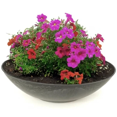 Afbeelding van matches21 Weerbestendige plantenbak van 45 cm voor buiten, grote decoratieve schaal zwart gemarmerd als bloembak, platte XXL tuinbak bloemen, bonsai of begraafplaats, sieraden