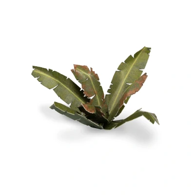 Afbeelding van Banana Tree Laser Plants 5x GGLP BT