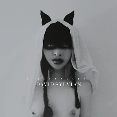 Afbeelding van David Sylvian Sleepwalkers (2 LPs)