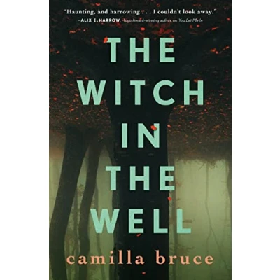 Afbeelding van the Witch in Well