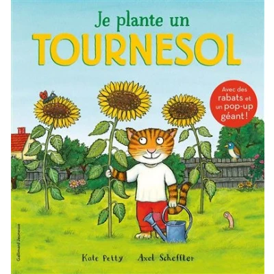 Image de Je plante un tournesol