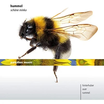 Afbeelding van Christopher Hinterhuber &amp; Auer Rumme Schöne Minka (CD)