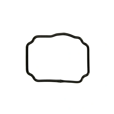 Afbeelding van DT Spare Parts 1.24174 Pakkingen