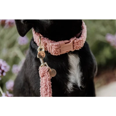 Image de Kentucky Laisse pour Chien Teddy Fleece Small Beige 120cm