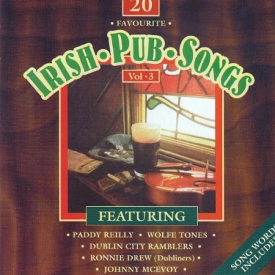 Afbeelding van Various Artists 20 Favourite Irish Pub Songs Volume 3 (CD)