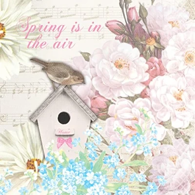 Afbeelding van Paper + Design Bird house papieren servetten