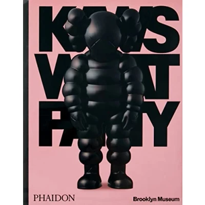 Afbeelding van KAWS