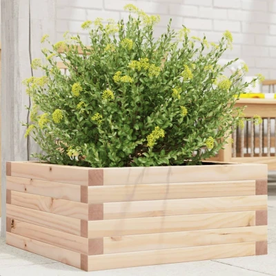Afbeelding van Plantenbak 50x50x23 cm massief grenenhout