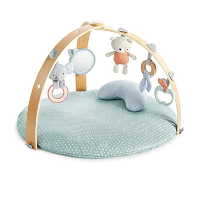 Afbeelding van Bright Starts Ingenuity Speelkleed Babygym Activiteiten Gym Cozy Spot Speeltapijt baby houten boog