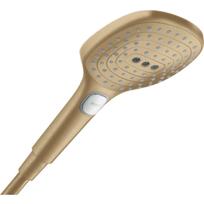 Afbeelding van Hansgrohe Raindance Select E handdouche 120 3jet Brushed