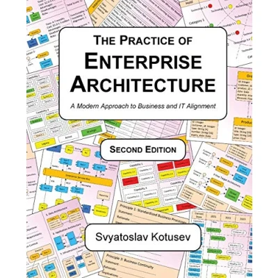 Afbeelding van The Practice of Enterprise Architecture