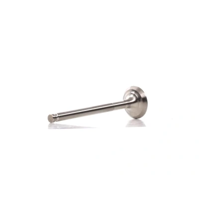 Afbeelding van Uitlaatklep FRECCIA R4169/RCR