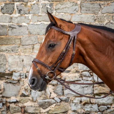 Image de Dyon Bridle Difference D Collection