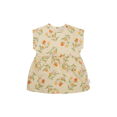 Afbeelding van Noppies Jurk Mobinee Baby Maat 50