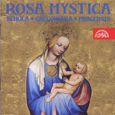 Afbeelding van Schola Gregoriana Pragensis, David Eben Gregorianik: Rosa Mystica (14, 15th Century) (CD)