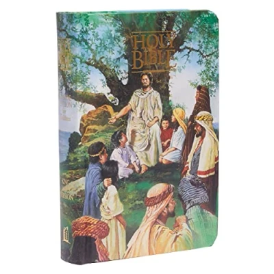 Afbeelding van Holy Bible Seaside for Children/King James Version