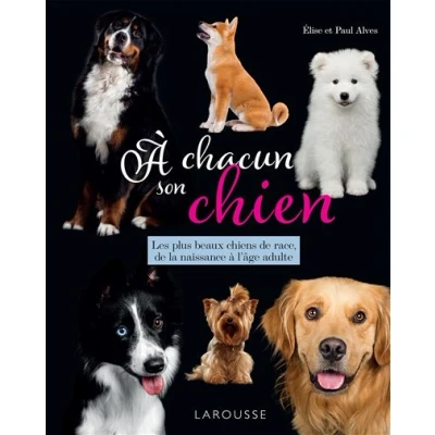 Image de A chacun son chien