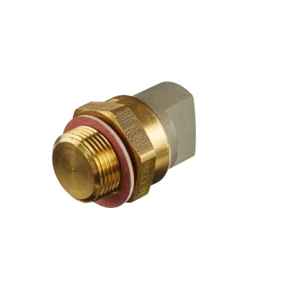 Afbeelding van Hella Temperatuurschakelaar 6ZT 007 802 021