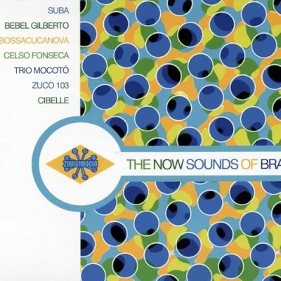 Afbeelding van Various Artists Now Sound Of Brazil (CD)