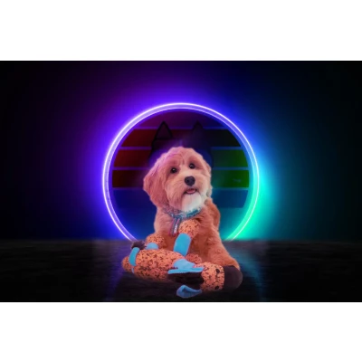 Afbeelding van Retrodog Donkey Blue M