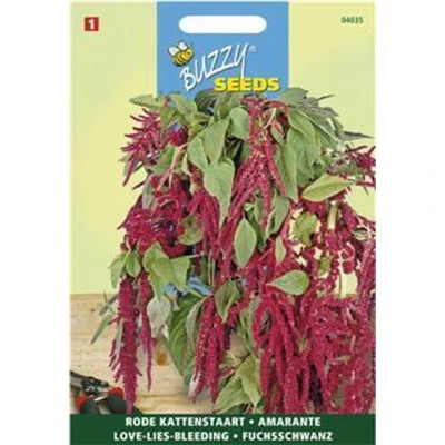 Afbeelding van Amaranthus rood (Kattenstaart) Appeltern Zaden
