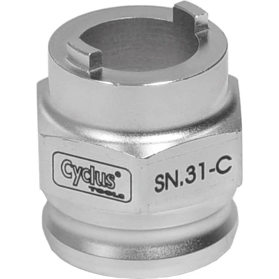 Afbeelding van Cyclus Snap in Sn 31 c Pion Afnemer Atom Maillard