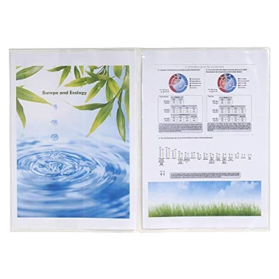 Afbeelding van Exacompta 5381E Sachet / 10 étuis 2 volets A4