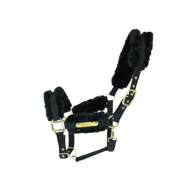 Image de Kentucky Licol Nylon Sheepskin Noir Full