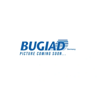 Afbeelding van Bugiad Astap, wielophanging BSP25132Prokit