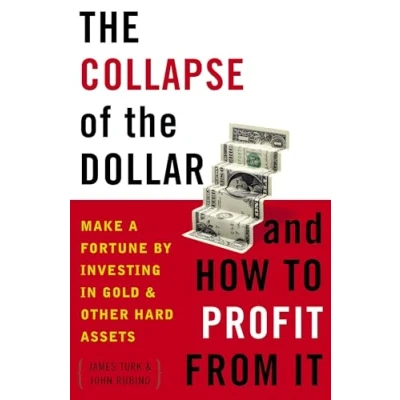 Afbeelding van the Collapse of Dollar and How to Profit from It