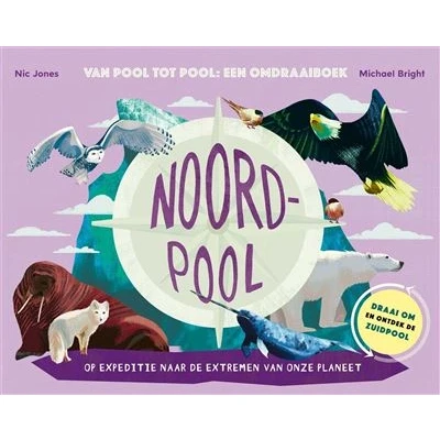Afbeelding van Noordpool / Zuidpool