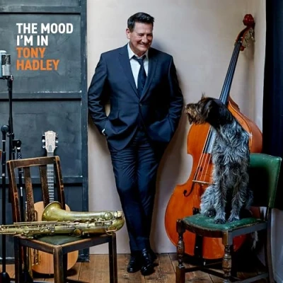 Afbeelding van Tony Hadley The Mood I&#039;m In (LP)
