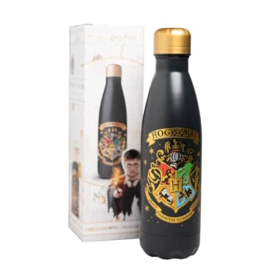 Afbeelding van Grupo Erik Harry Potter Waterfles, Hogwarts, 500 ml, waterfles van metaal, cadeau