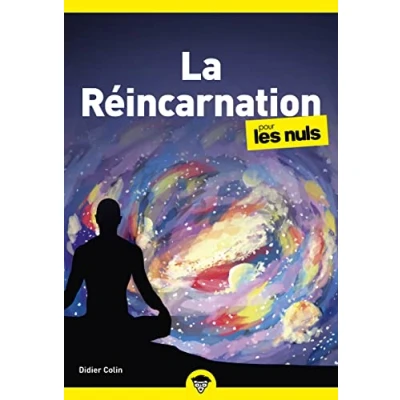 Afbeelding van La réincarnation pour les Nuls
