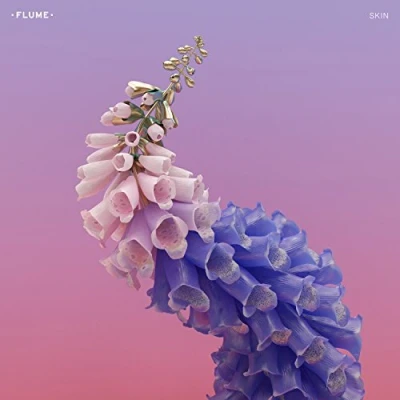 Afbeelding van Flume Skin (2 LPs)