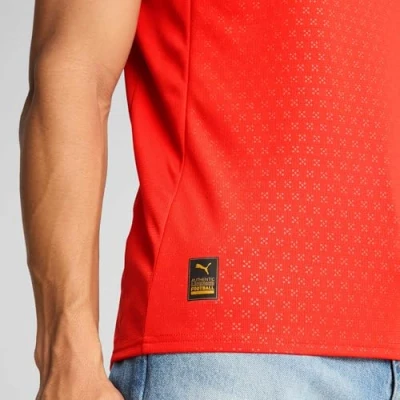 Afbeelding van Portugal 2025 thuisshirt voor Heren, Rood/Bruin, Maat M PUMA