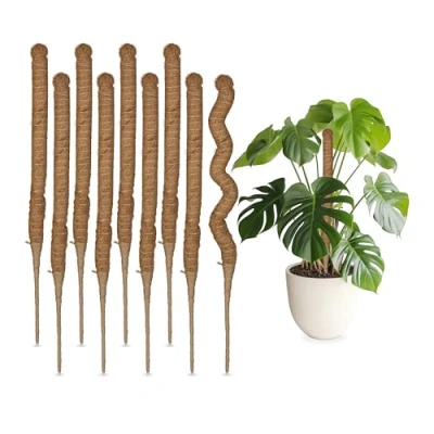 Afbeelding van Relaxdays mosstokken set plantenstokken 60 cm mospalen flexibel kokoks en jute Pak van 10