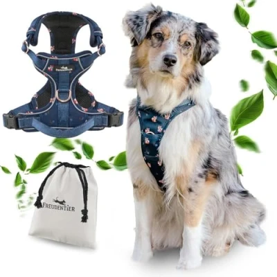 Afbeelding van Ademend hondenharnas, comfortabel gevoerd, Let&#039;s get Foxy collectie, 100% stevige pasvorm, anti trek borstharnas voor grote, middelgrote en kleine honden (L)