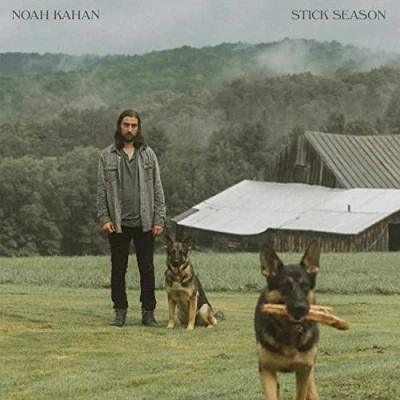Afbeelding van Noah Kahan Stick Season (2 LPs)