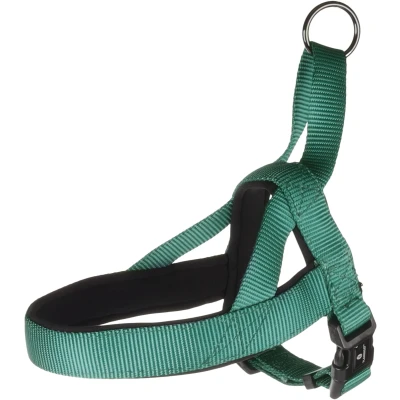 Afbeelding van Flamingo Abbi Noors Harnas Honden Groen Xs 35 42cm 20mm 1st 190729