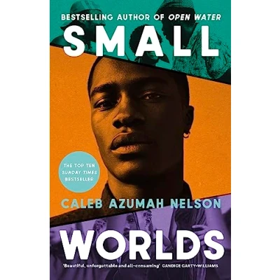 Afbeelding van Small Worlds